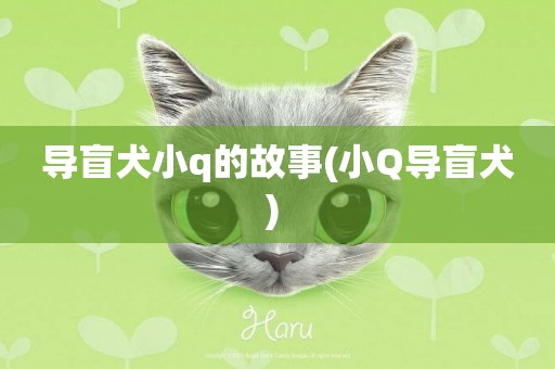 導盲犬小q的故事(小Q導盲犬) 