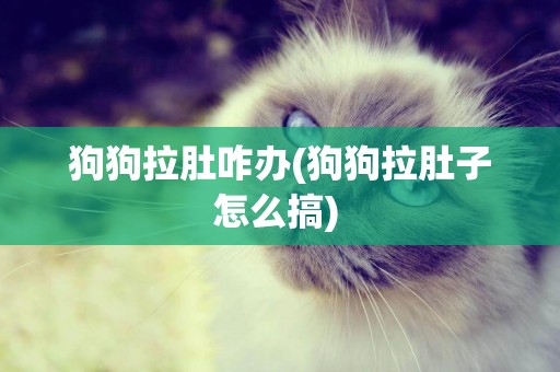 狗狗拉肚咋辦(狗狗拉肚子怎么搞) 