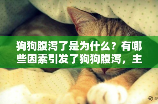 狗狗腹瀉了是為什么？有哪些因素引發了狗狗腹瀉，主人又該怎么做 