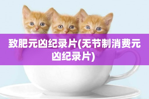 致肥元兇紀錄片(無節制消費元兇紀錄片) 