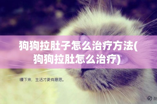 狗狗拉肚子怎么治療方法(狗狗拉肚怎么治療) 