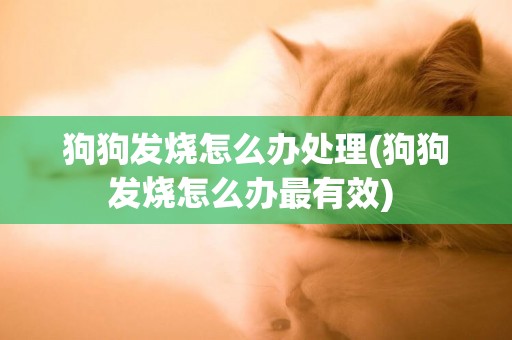 狗狗發燒怎么辦處理(狗狗發燒怎么辦最有效) 
