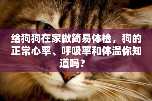 給狗狗在家做簡易體檢，狗的正常心率、呼吸率和體溫你知道嗎？ 