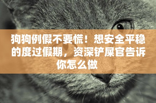 狗狗例假不要慌！想安全平穩的度過假期，資深鏟屎官告訴你怎么做 