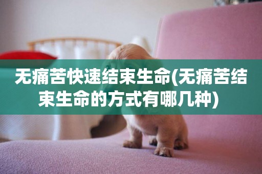 無痛苦快速結束生命(無痛苦結束生命的方式有哪幾種) 