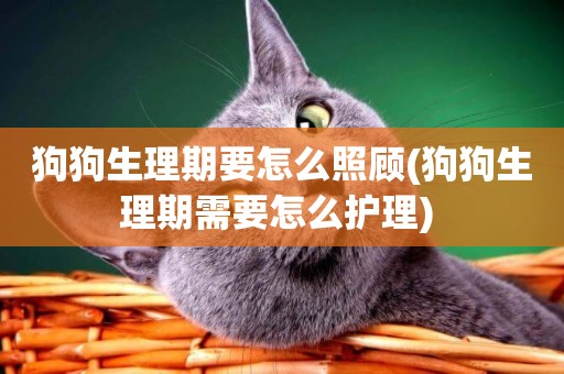 狗狗生理期要怎么照顧(狗狗生理期需要怎么護理) 