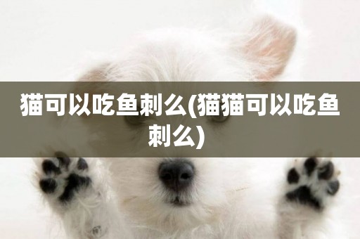 貓可以吃魚刺么(貓貓可以吃魚刺么) 