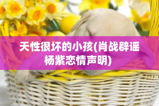 天性很壞的小孩(肖戰辟謠楊紫戀情聲明) 