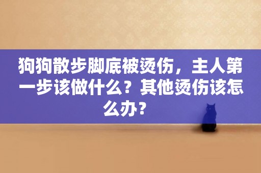 狗狗散步腳底被燙傷，主人第一步該做什么？其他燙傷該怎么辦？ 