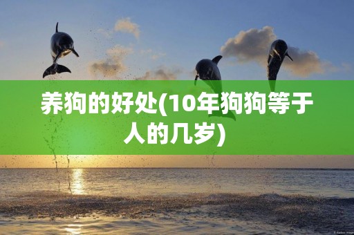 養狗的好處(10年狗狗等于人的幾歲) 