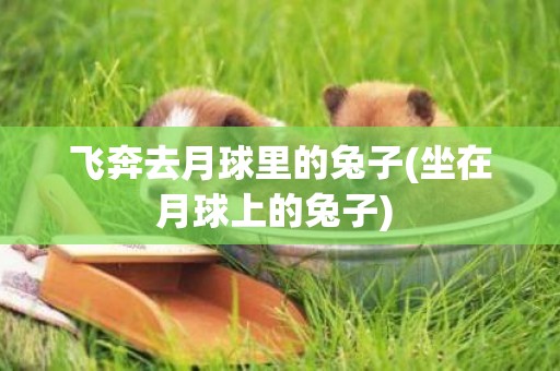 飛奔去月球里的兔子(坐在月球上的兔子) 