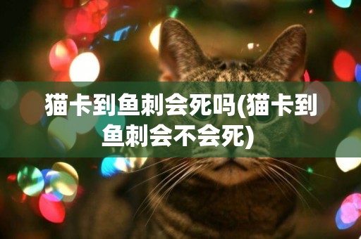 貓卡到魚刺會死嗎(貓卡到魚刺會不會死) 