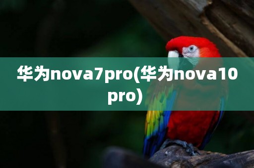 華為nova7pro(華為nova10pro) 