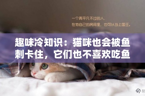 趣味冷知識：貓咪也會被魚刺卡住，它們也不喜歡吃魚！不知道吧？ 