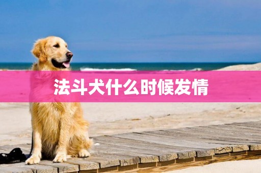 法斗犬什么時候發情