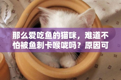 那么愛吃魚的貓咪，難道不怕被魚刺卡喉嚨嗎？原因可不簡單 