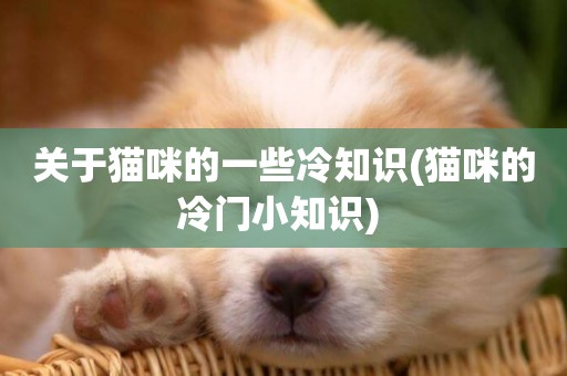 關于貓咪的一些冷知識(貓咪的冷門小知識) 