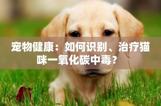 寵物健康：如何識別、治療貓咪一氧化碳中毒？ 