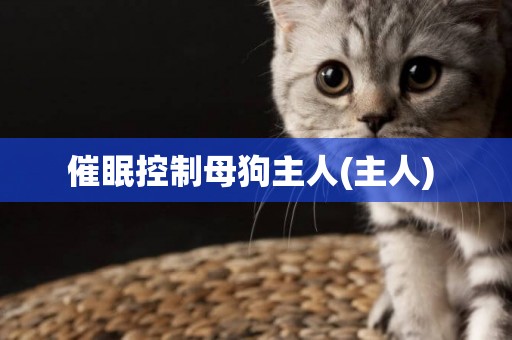 催眠控制母狗主人(主人) 