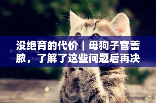 沒絕育的代價｜母狗子宮蓄膿，了解了這些問題后再決定如何治療 