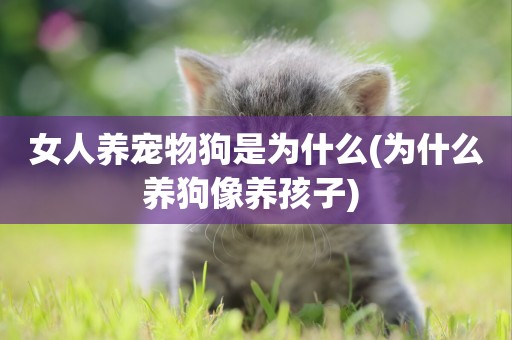 女人養寵物狗是為什么(為什么養狗像養孩子) 