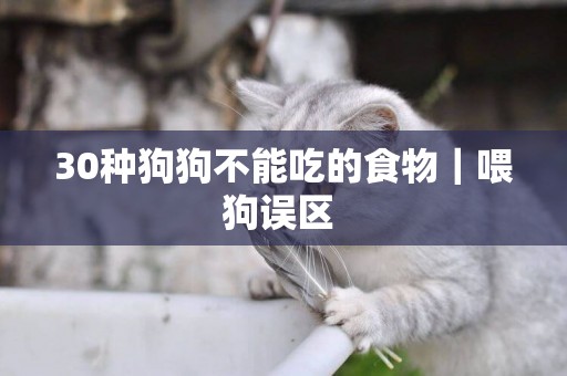 30種狗狗不能吃的食物｜喂狗誤區 