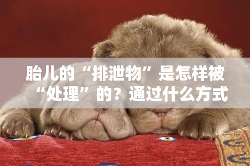 胎兒的“排泄物”是怎樣被“處理”的？通過什么方式？你知道嗎 