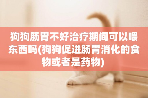 狗狗腸胃不好治療期間可以喂東西嗎(狗狗促進腸胃消化的食物或者是藥物) 