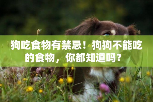 狗吃食物有禁忌！狗狗不能吃的食物，你都知道嗎？ 