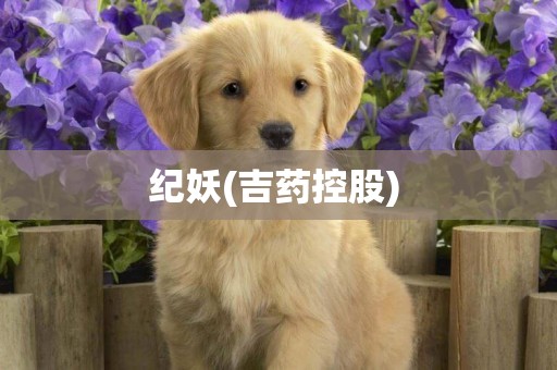 紀妖(吉藥控股) 