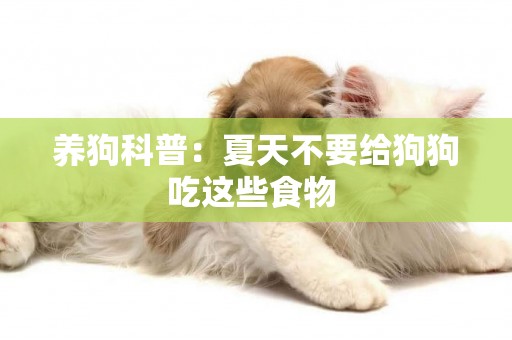 養狗科普：夏天不要給狗狗吃這些食物 