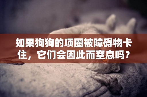 如果狗狗的項圈被障礙物卡住，它們會因此而窒息嗎？它們會自救嗎 