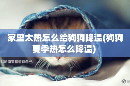 家里太熱怎么給狗狗降溫(狗狗夏季熱怎么降溫) 