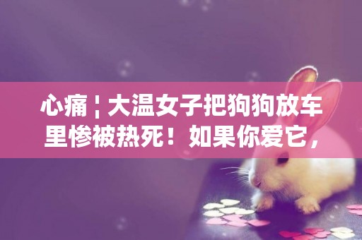 心痛 | 大溫女子把狗狗放車里慘被熱死！如果你愛它，應該這樣做…… 
