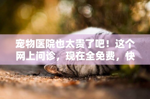 寵物醫院也太貴了吧！這個網上問診，現在全免費，快搶資格 