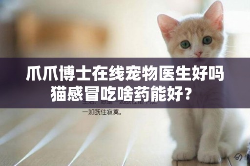 爪爪博士在線寵物醫生好嗎 貓感冒吃啥藥能好？ 