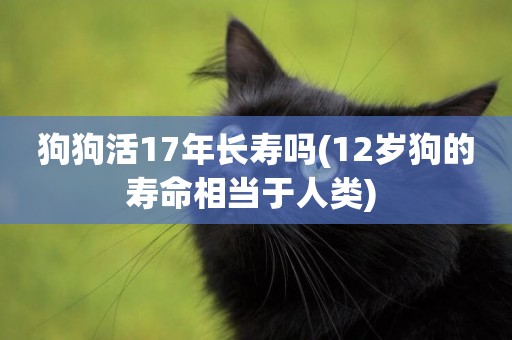 狗狗活17年長壽嗎(12歲狗的壽命相當于人類) 