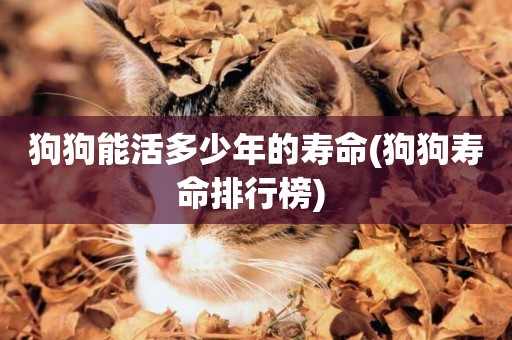 狗狗能活多少年的壽命(狗狗壽命排行榜) 