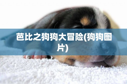 芭比之狗狗大冒險(狗狗圖片) 