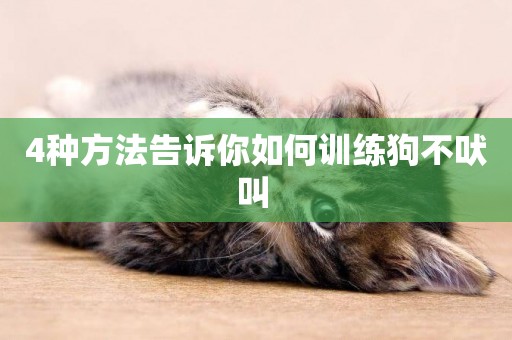 4種方法告訴你如何訓練狗不吠叫 