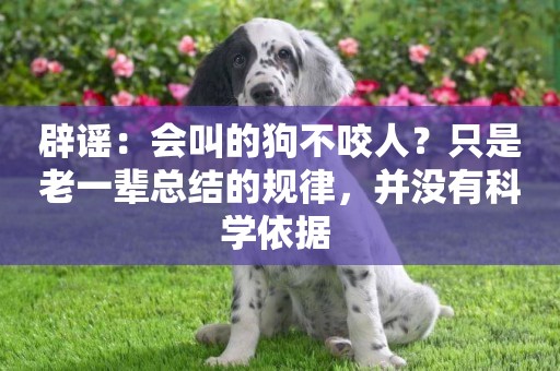 辟謠：會叫的狗不咬人？只是老一輩總結的規律，并沒有科學依據 