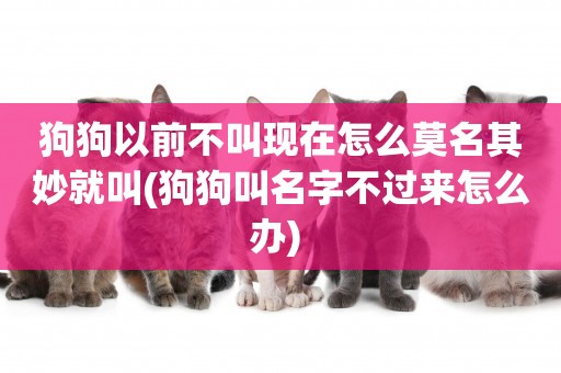 狗狗以前不叫現在怎么莫名其妙就叫(狗狗叫名字不過來怎么辦) 