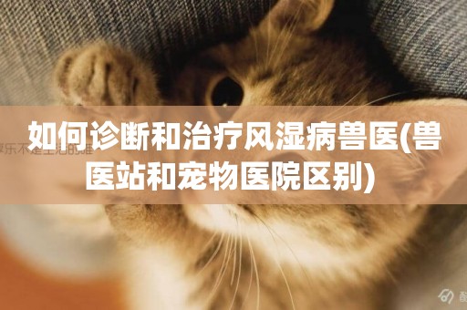 如何診斷和治療風濕病獸醫(獸醫站和寵物醫院區別) 
