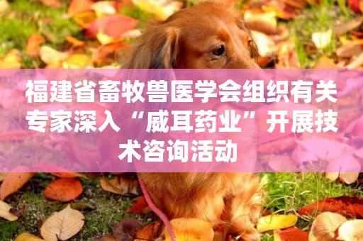 福建省畜牧獸醫學會組織有關專家深入“威耳藥業”開展技術咨詢活動 