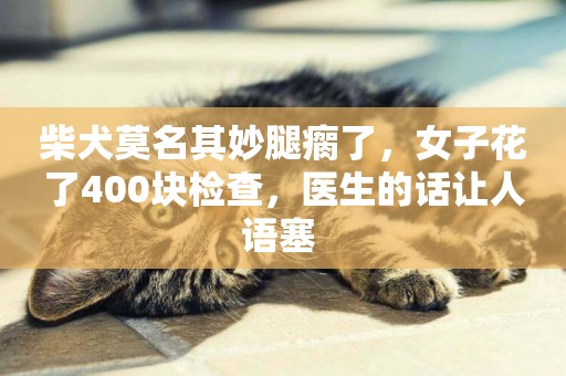 柴犬莫名其妙腿瘸了，女子花了400塊檢查，醫生的話讓人語塞 