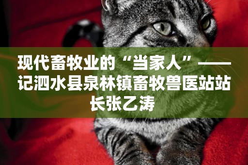 現代畜牧業的“當家人”——記泗水縣泉林鎮畜牧獸醫站站長張乙濤 