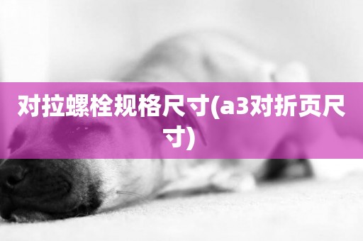 對拉螺栓規格尺寸(a3對折頁尺寸) 