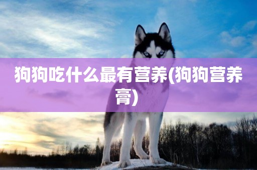 狗狗吃什么最有營養(狗狗營養膏) 