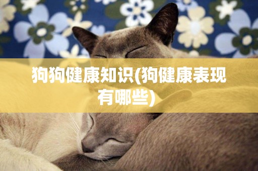 狗狗健康知識(狗健康表現有哪些) 
