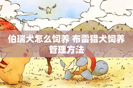伯瑞犬怎么飼養 布雷獵犬飼養管理方法